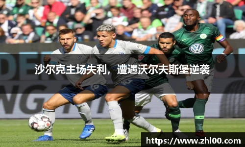 沙尔克主场失利，遭遇沃尔夫斯堡逆袭